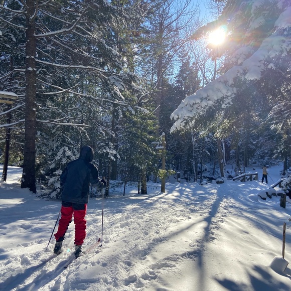 Meet your Posher, Sue - Picture 1 of 1